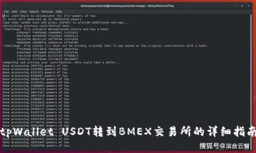 tpWallet USDT转到BMEX交易所的详细指南