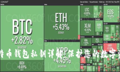 比特币钱包私钥详解：保护您的数字资产