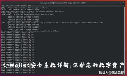 tpWallet安全系数详解：保护您的数字资产