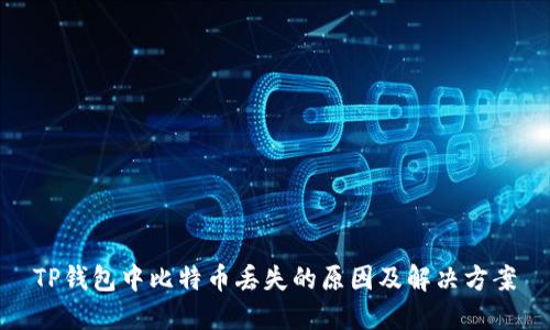 TP钱包中比特币丢失的原因及解决方案