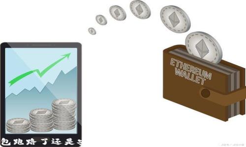 
比特币钱包跑路了还是安全？全面解析比特币钱包的风险与防范