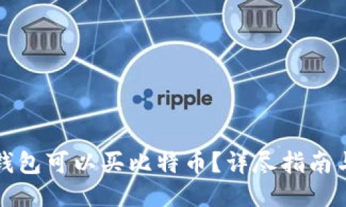 哪些钱包可以买比特币？详尽指南与推荐
