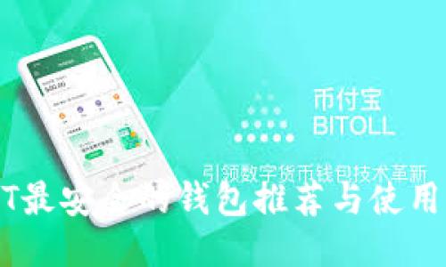 USDT最安全的钱包推荐与使用指南