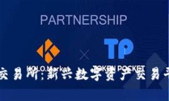 tpWallet薄饼交易所：新兴数字资产交易平台的全面
