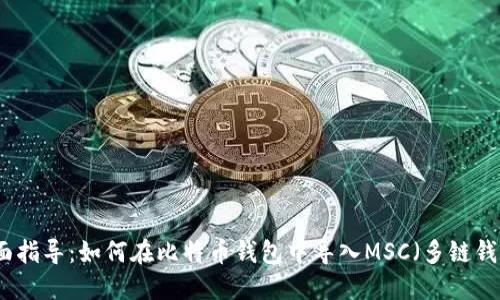 全面指导：如何在比特币钱包中导入MSC（多链钱包）
