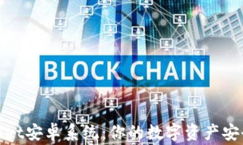 
tpWallet安卓系统：你的数字资产安全管家