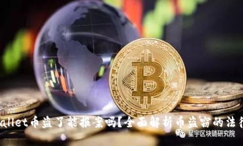  tpWallet币盗了能报案吗？全面解析币盗窃的法律途径