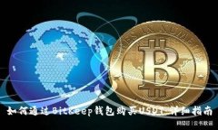 如何通过BitKeep钱包购买USDT：详细指南