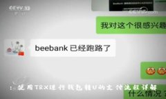 : 使用TRX进行钱包转U的支付流程详解