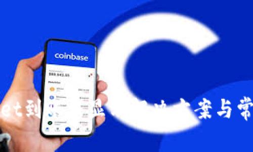 tpWallet到账未显示解决方案与常见问题