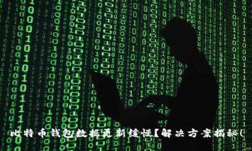 比特币钱包数据更新缓慢？解决方案揭秘！
