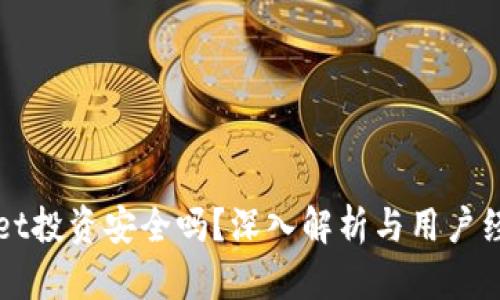 tpWallet投资安全吗？深入解析与用户经验分享