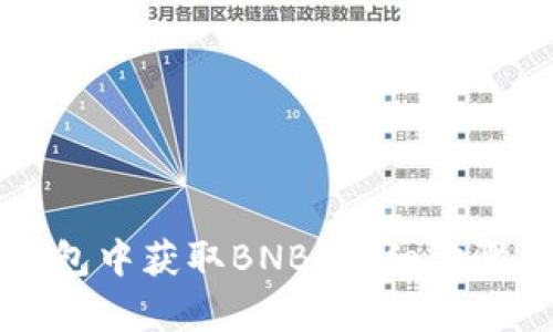 如何在TP钱包中获取BNB？详细步骤与技巧解析