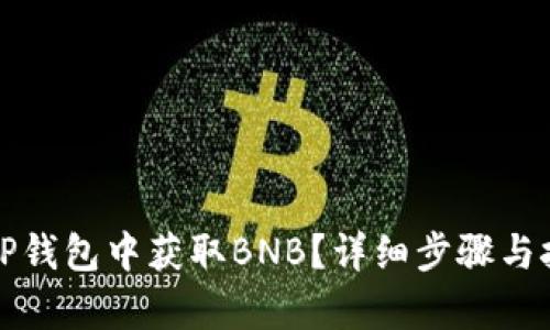如何在TP钱包中获取BNB？详细步骤与技巧解析