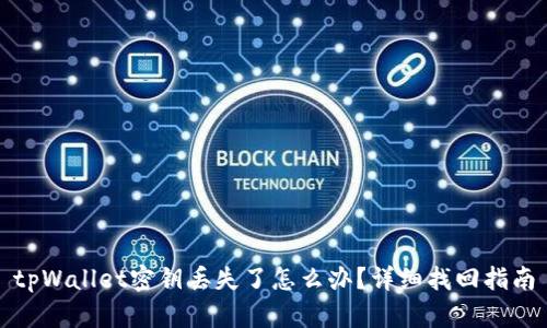 tpWallet密钥丢失了怎么办？详细找回指南