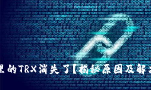 钱包里的TRX消失了？揭秘原因及解决方案