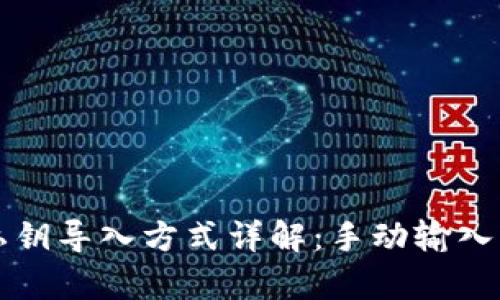 tpWallet私钥导入方式详解：手动输入与其他选项