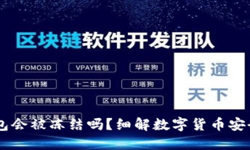 USDT钱包会被冻结吗？细解数字货币安全与风险