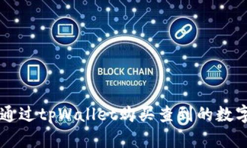 如何通过tpWallet购买查到的数字货币