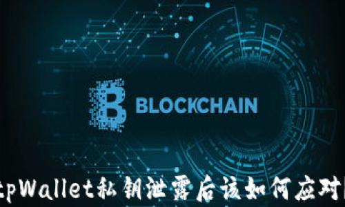 
tpWallet私钥泄露后该如何应对？