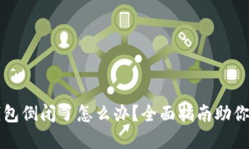 比特币钱包倒闭了怎么办？全面指南助你应对危机