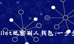 如何使用tpWallet观察别人钱包：一步步的指南与技