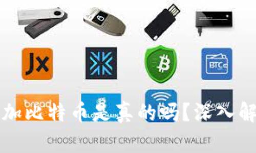 小狐狸钱包添加比特币是真的吗？深入解析与用户指南