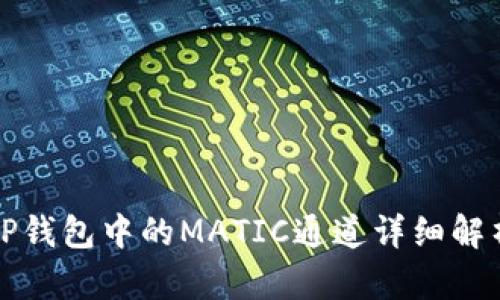 TP钱包中的MATIC通道详细解析