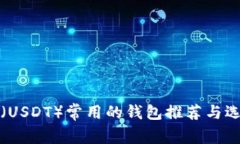 泰达币（USDT）常用的钱包推荐与选择指南