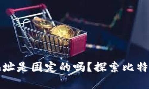 比特币钱包地址是固定的吗？探索比特币钱包的奥秘