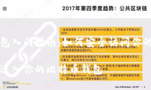 比特币钱包入门指南：如何安全访问你的数字资产

如何安全进入你的比特币钱包