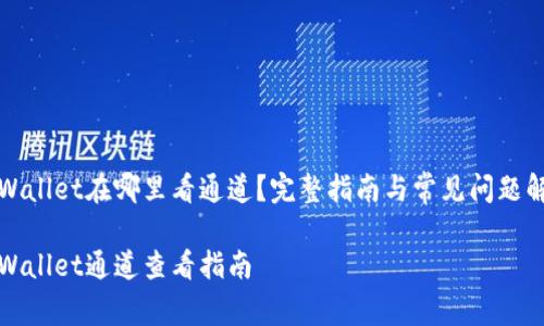 tpWallet在哪里看通道？完整指南与常见问题解析

tpWallet通道查看指南