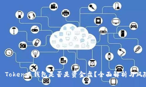 Cloud Token云钱包是否是资金盘？全面解析与风险提示