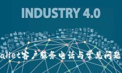 tpWallet客户服务电话与常见问题解答