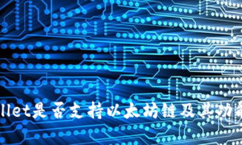 tpWallet是否支持以太坊链及其功能解析