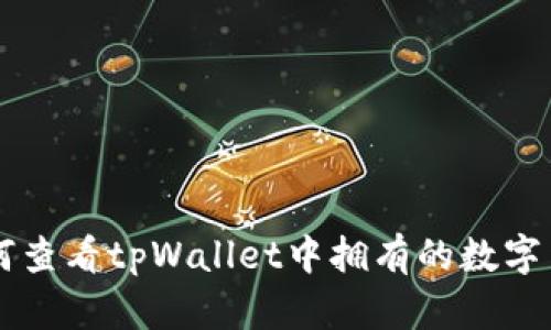如何查看tpWallet中拥有的数字货币