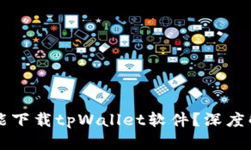 为什么苹果不能下载tpWallet软件？深度解析与解决方案