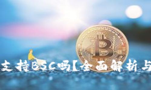 tpWallet支持BSC吗？全面解析与使用指南