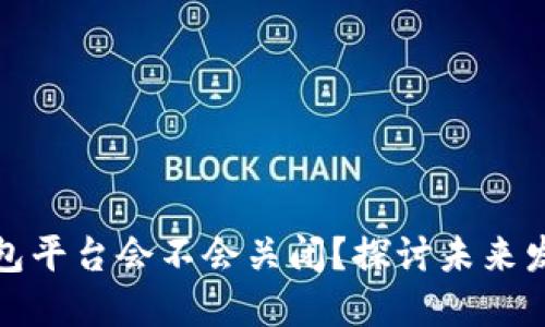 比特币钱包平台会不会关闭？探讨未来发展与风险