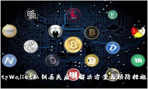 tpWallet私钥丢失后的解决方案与预防措施