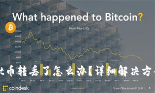 tpWallet币转丢了怎么办？详细解决方案与建议